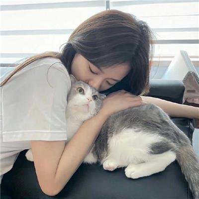 香农传